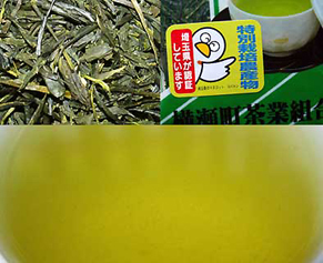 shincha150526.jpg