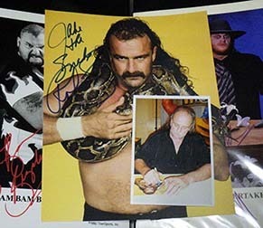 snake_ddt190410.jpg