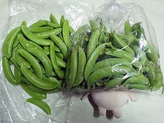 snap240509.jpg