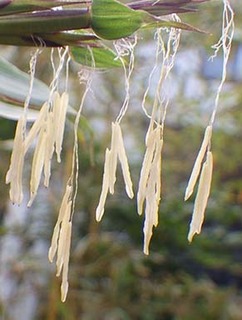 take1905192.jpg