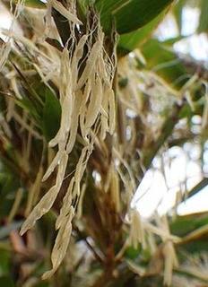 take1905193.jpg