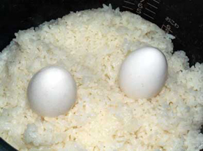 tamago1310201.jpg