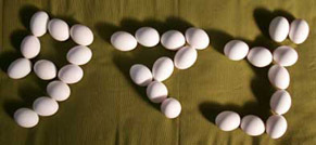 tamago30_121111.jpg
