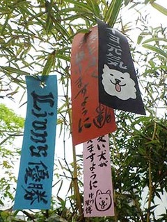 tana_190706.jpg