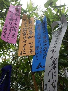 tana__190707.jpg