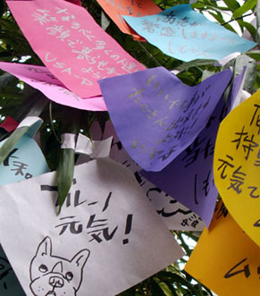 tanabata100707.jpg