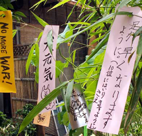 tanabata140706.jpg