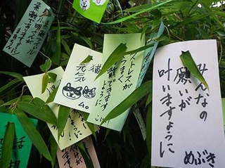tanabata230707.jpg
