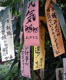 tanabata__170707.jpg