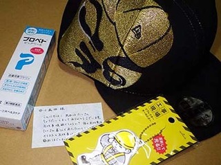 taro2302131.jpg