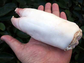 tonsoku1204021.jpg
