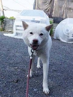 tosou250708g.jpg