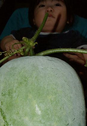 tougan1008172.jpg
