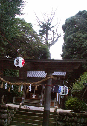 tsuchiya1007141.jpg