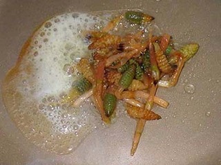 tsukushi2004036.jpg