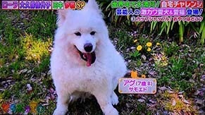 tsuruno200809.jpg