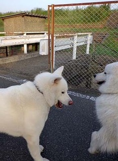 umikun1805161.jpg