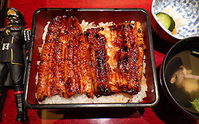 unagi1704141.jpg