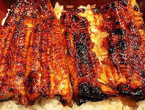 unagi1704142.jpg