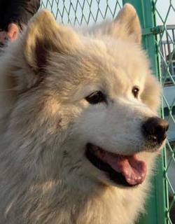 ururukun1403241.jpg