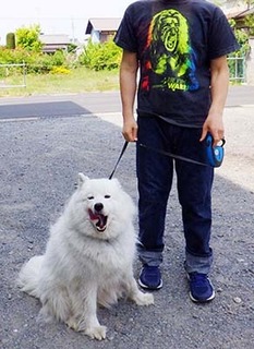 ut_1805011.jpg