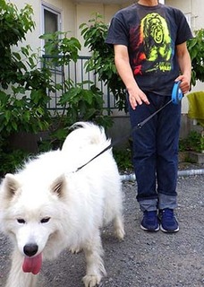ut_1805013.jpg