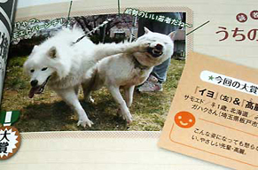 wan151015.jpg
