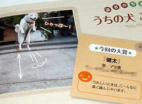 wan_1601101.jpg