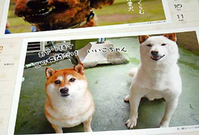 wws_ayaken131102.jpg