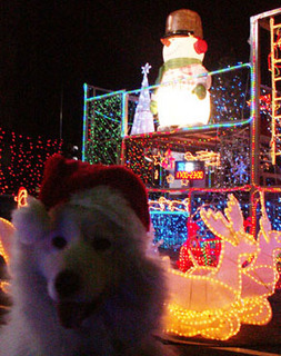 xmas_nike101224.jpg