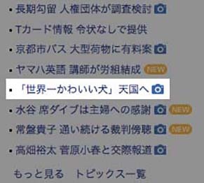 yahoo190120.jpg