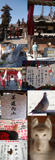 yakyuu110114.jpg