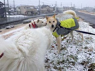 yuki230210b.jpg