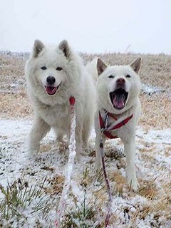 yuki230210d.jpg
