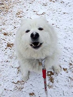 yuki230210e.jpg