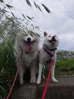 yuugata250509a.jpg