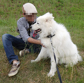 zabu_i170611.jpg