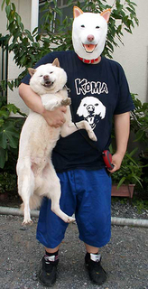 zenshin150618.jpg